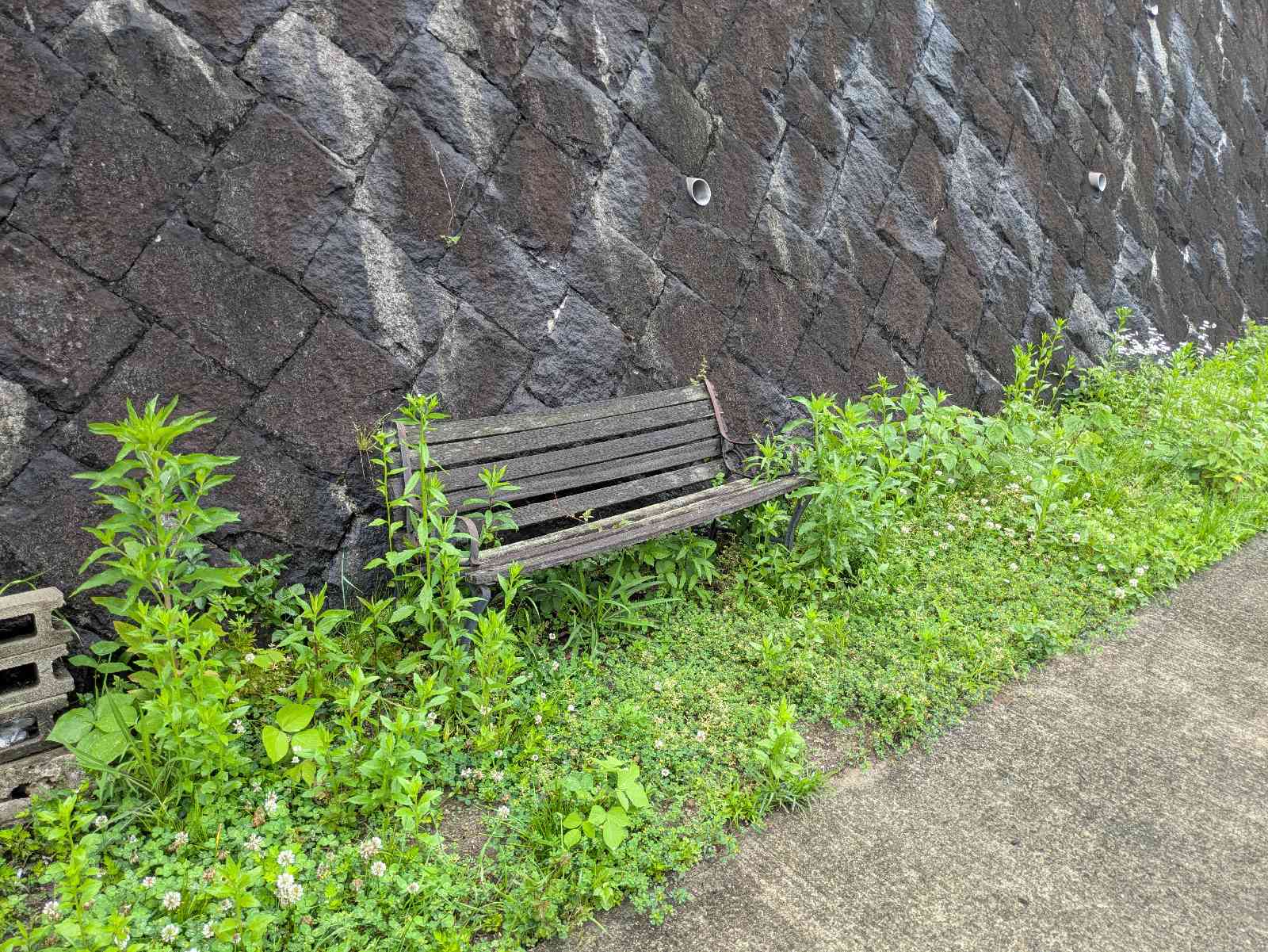 道の駅 宇陀路室生の写真