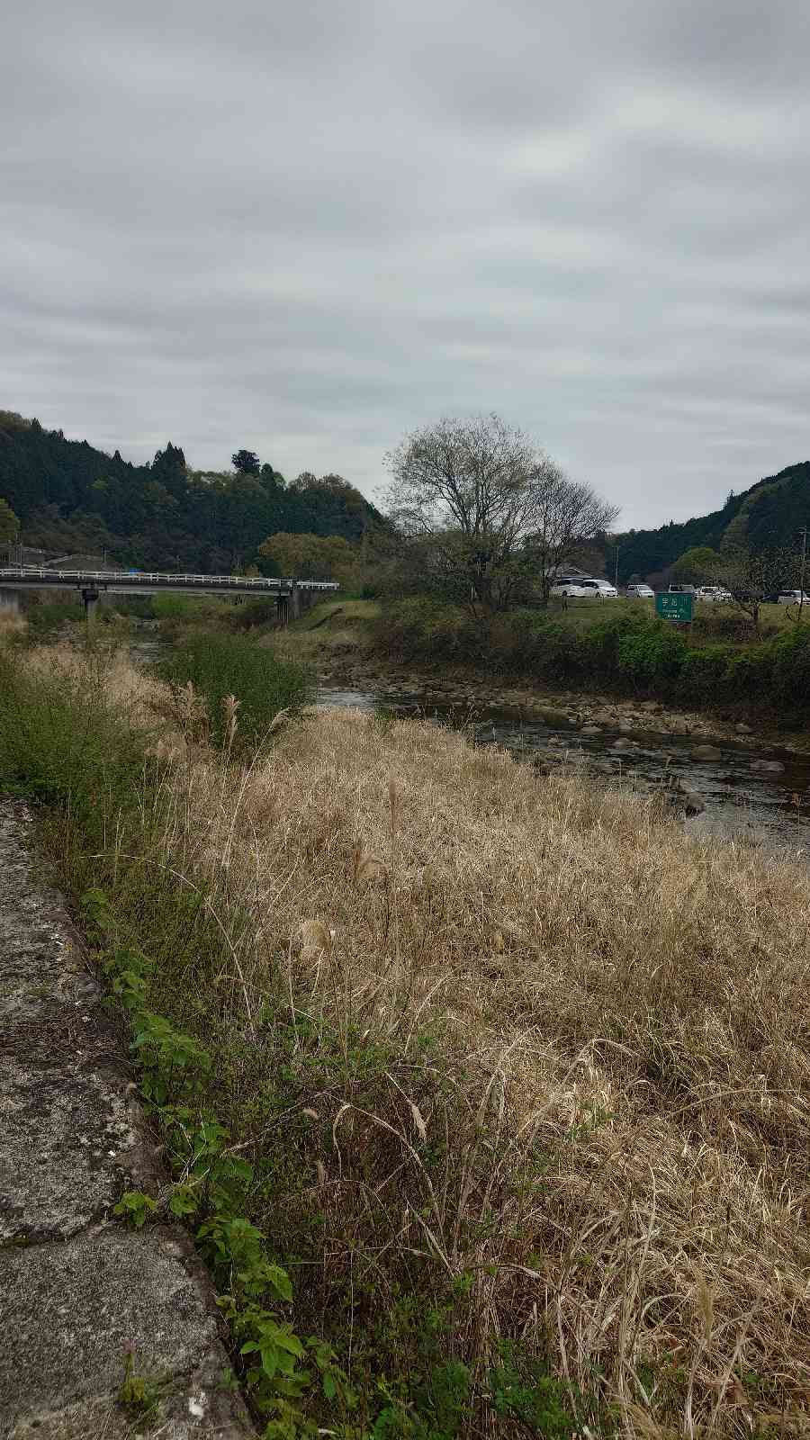 道の駅 宇陀路室生の写真