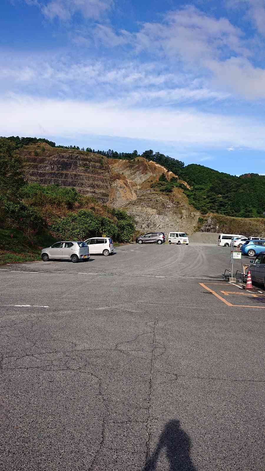投稿された画像