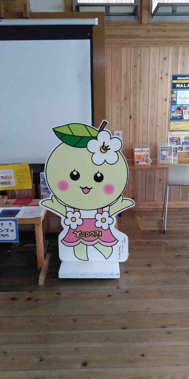 投稿された画像