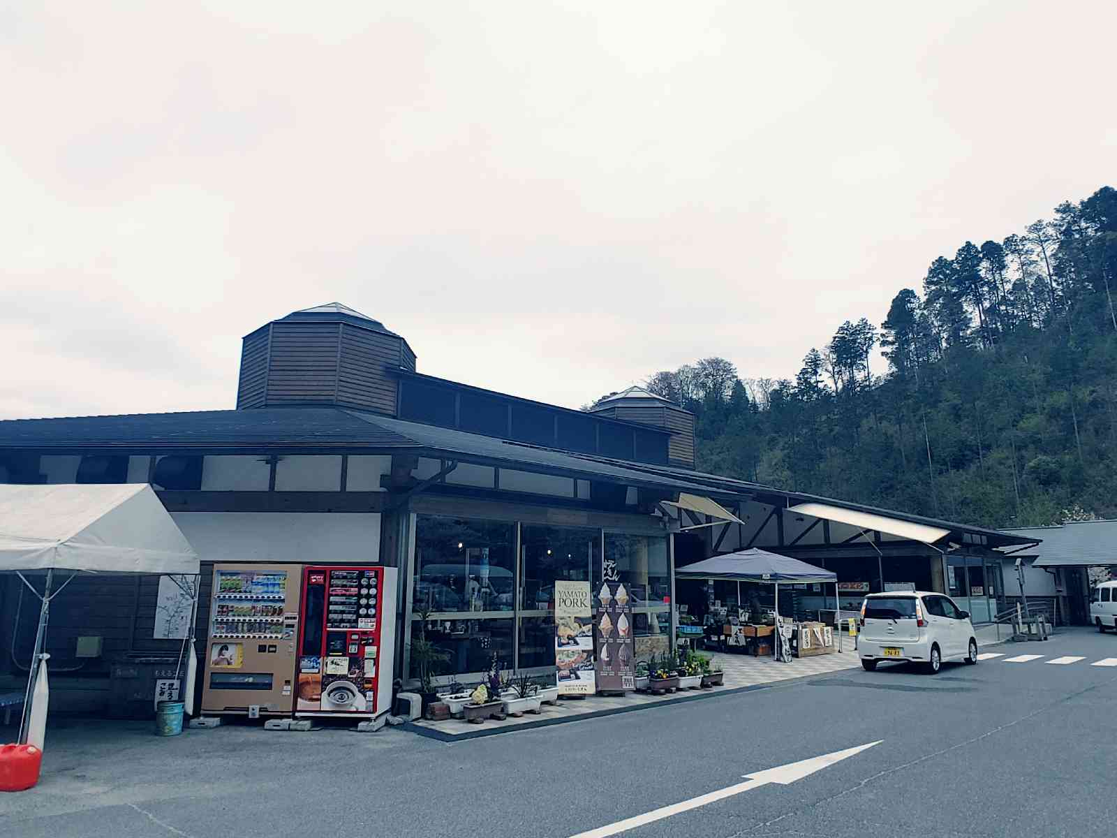 投稿された画像