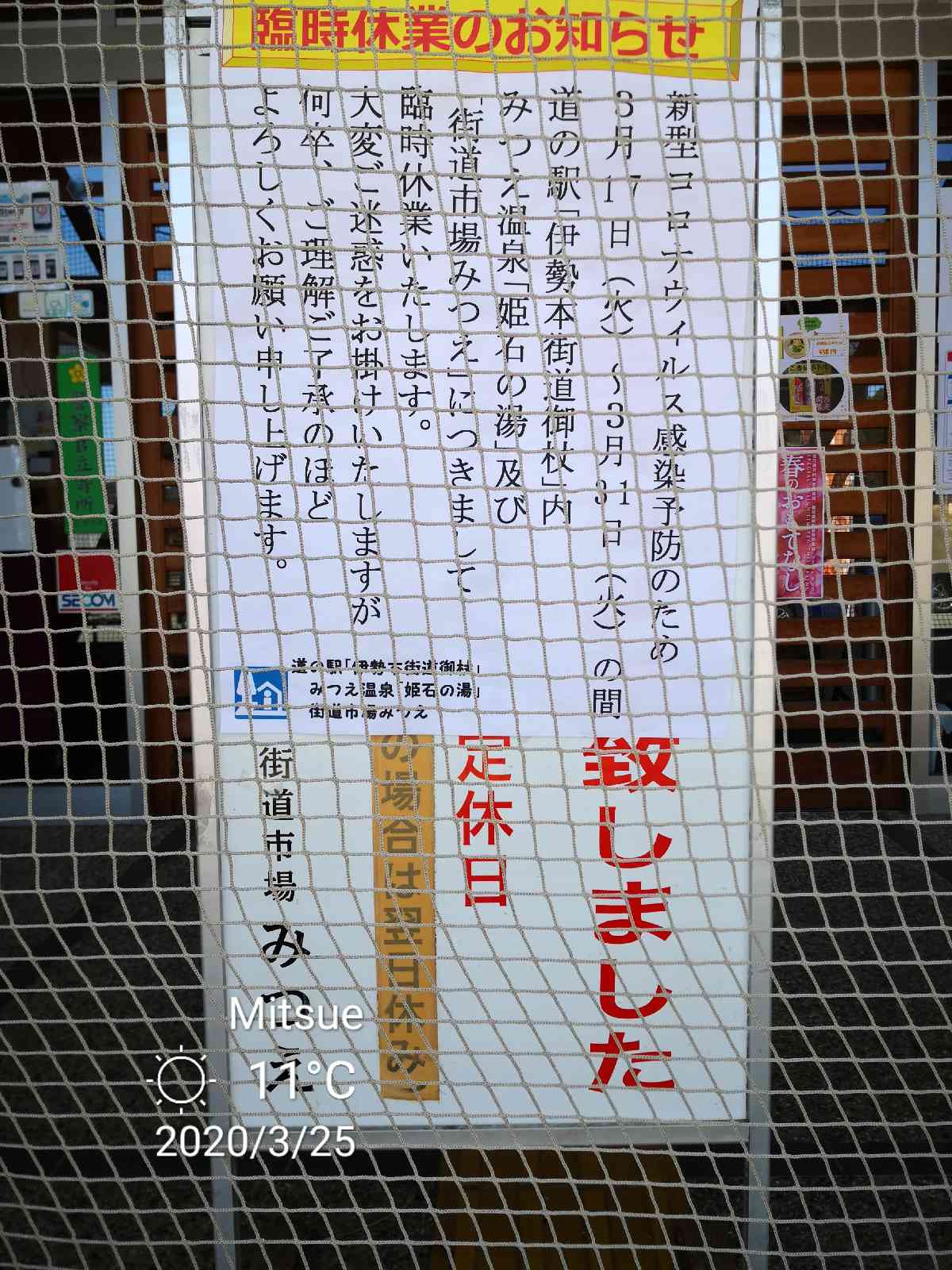 投稿された画像