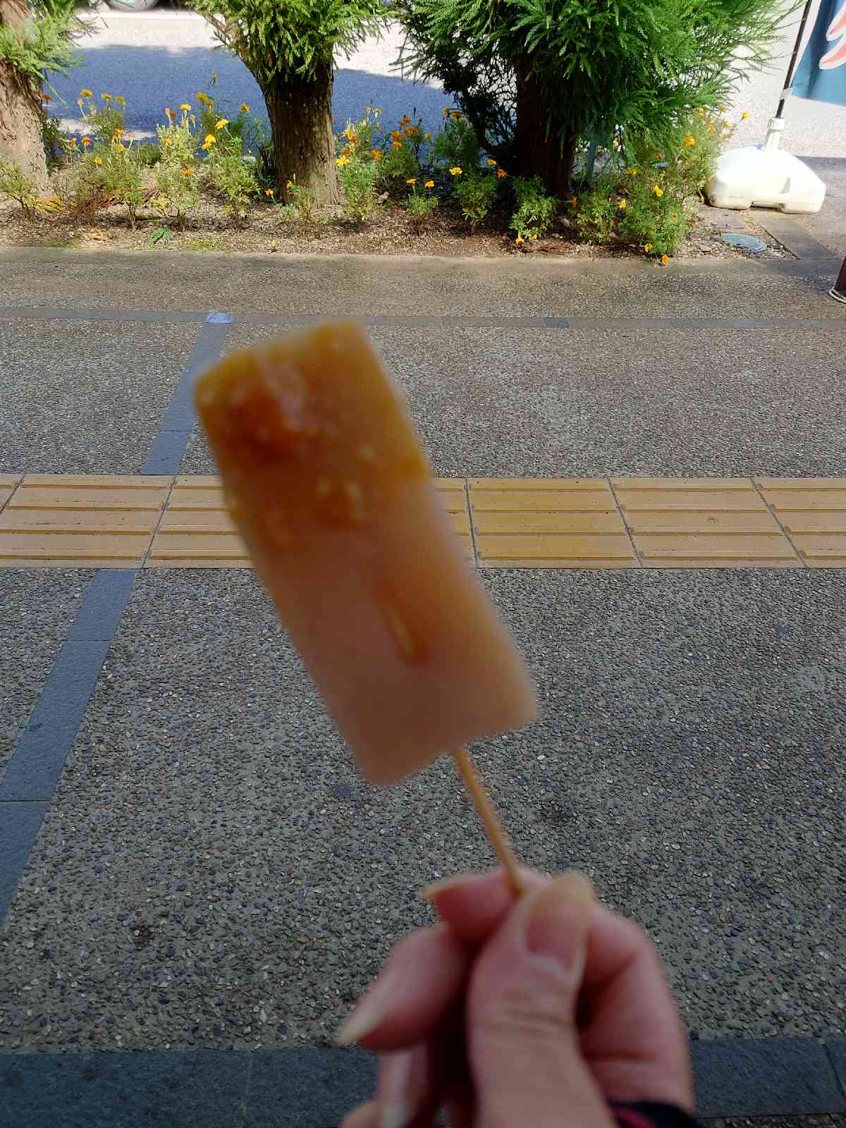 投稿された画像