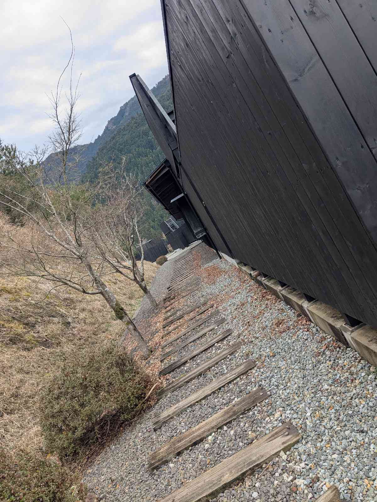 道の駅 しみずの写真
