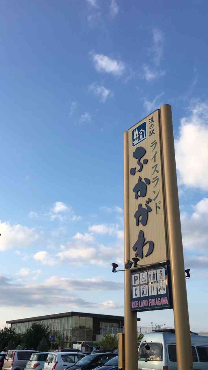 投稿された画像
