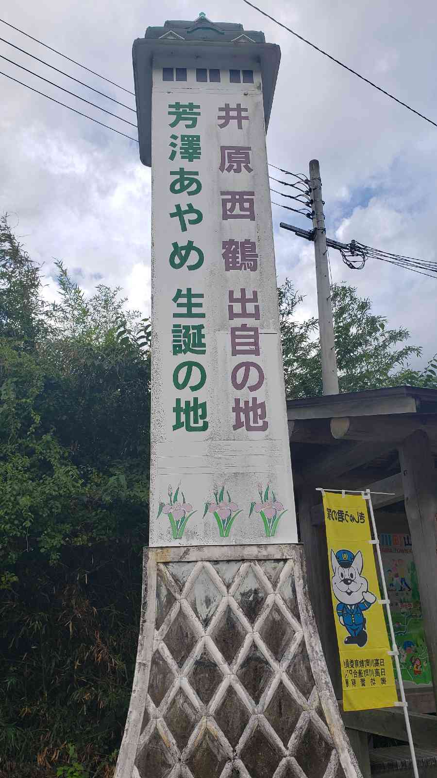 投稿された画像