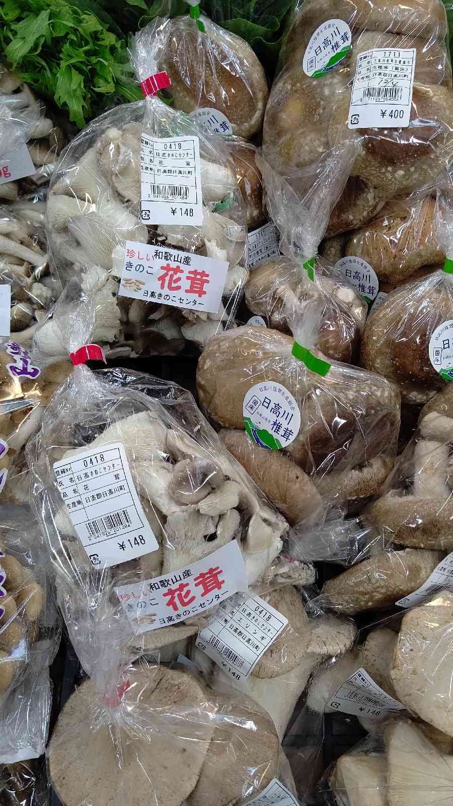 投稿された画像