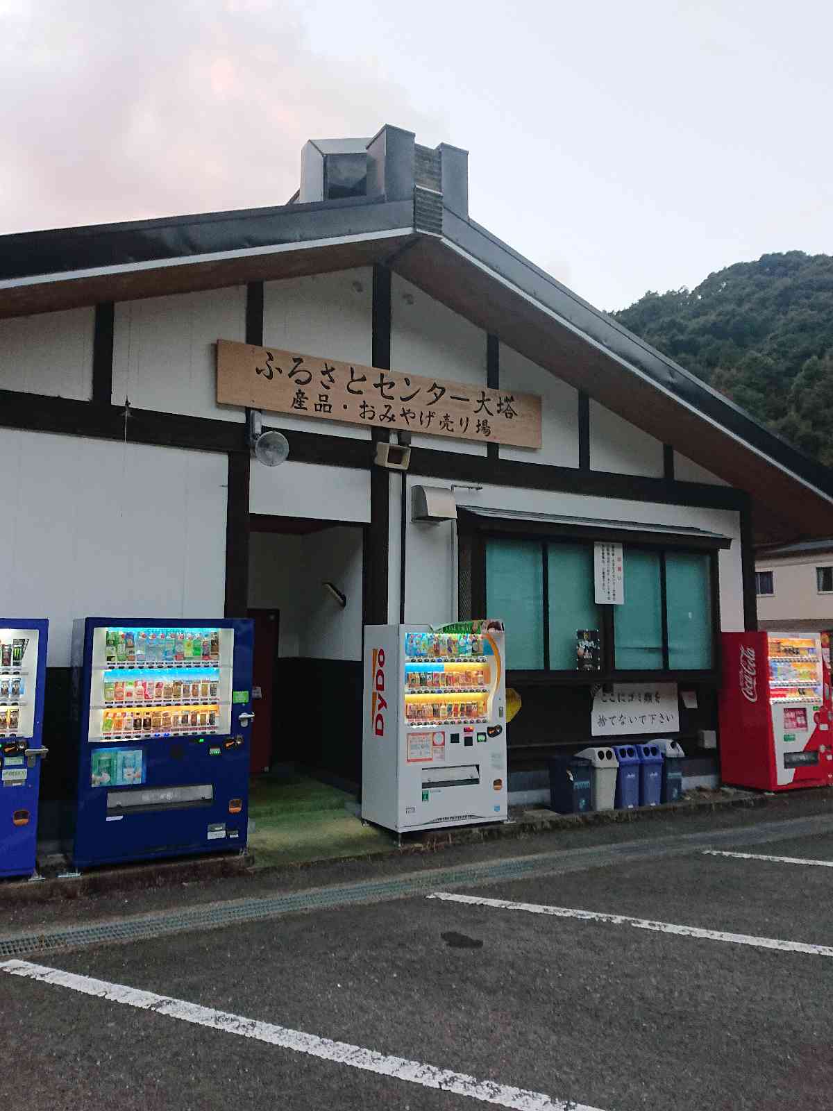 投稿された画像
