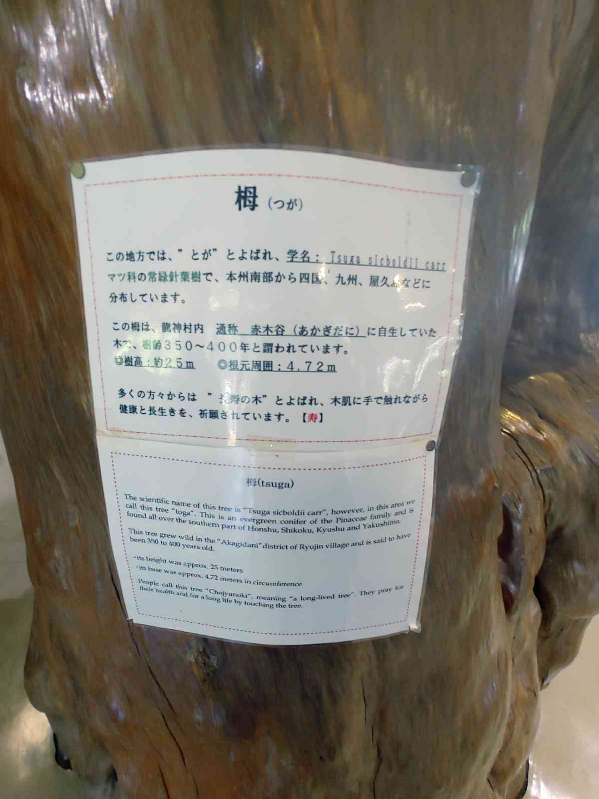 投稿された画像