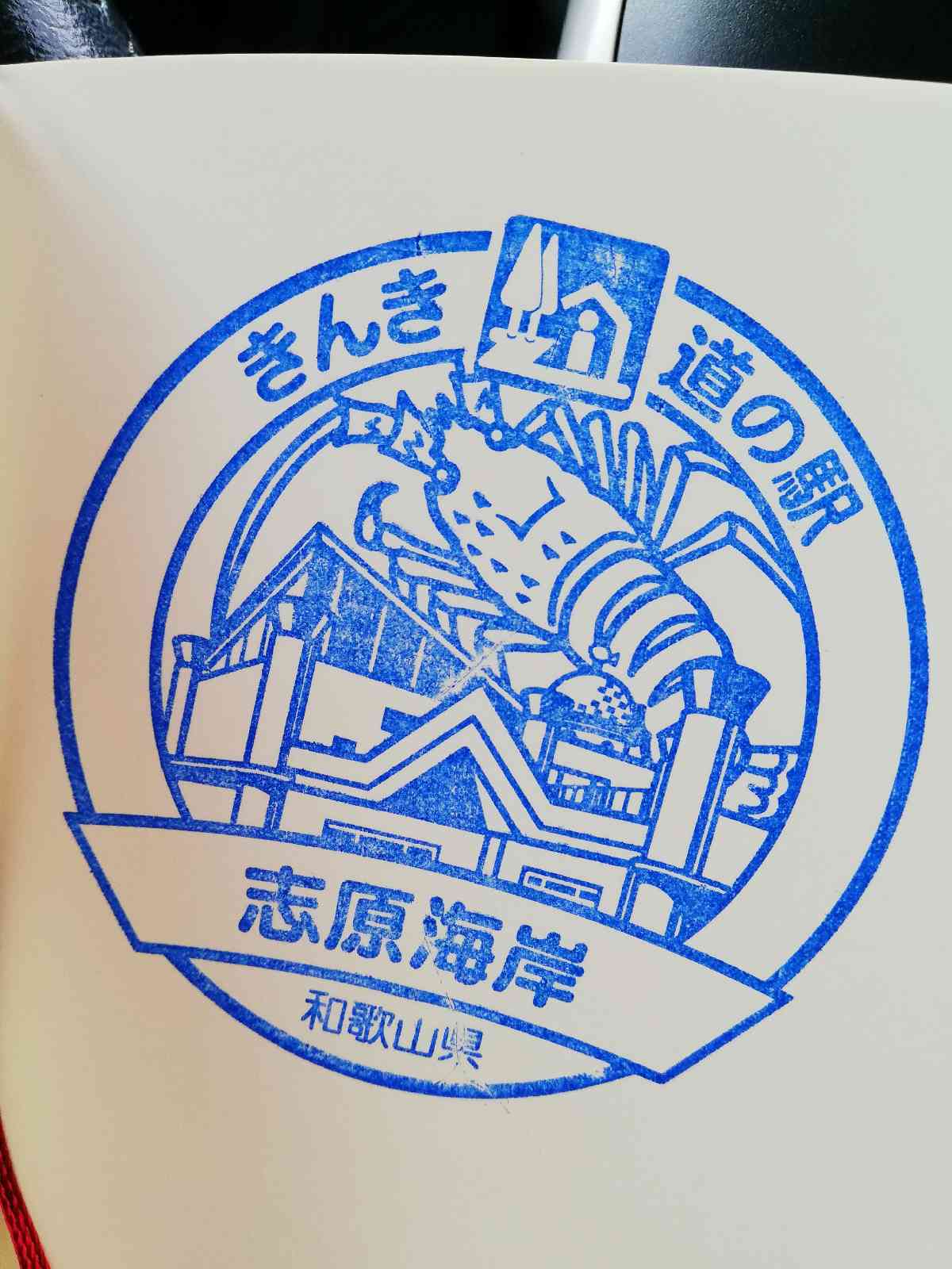 投稿された画像