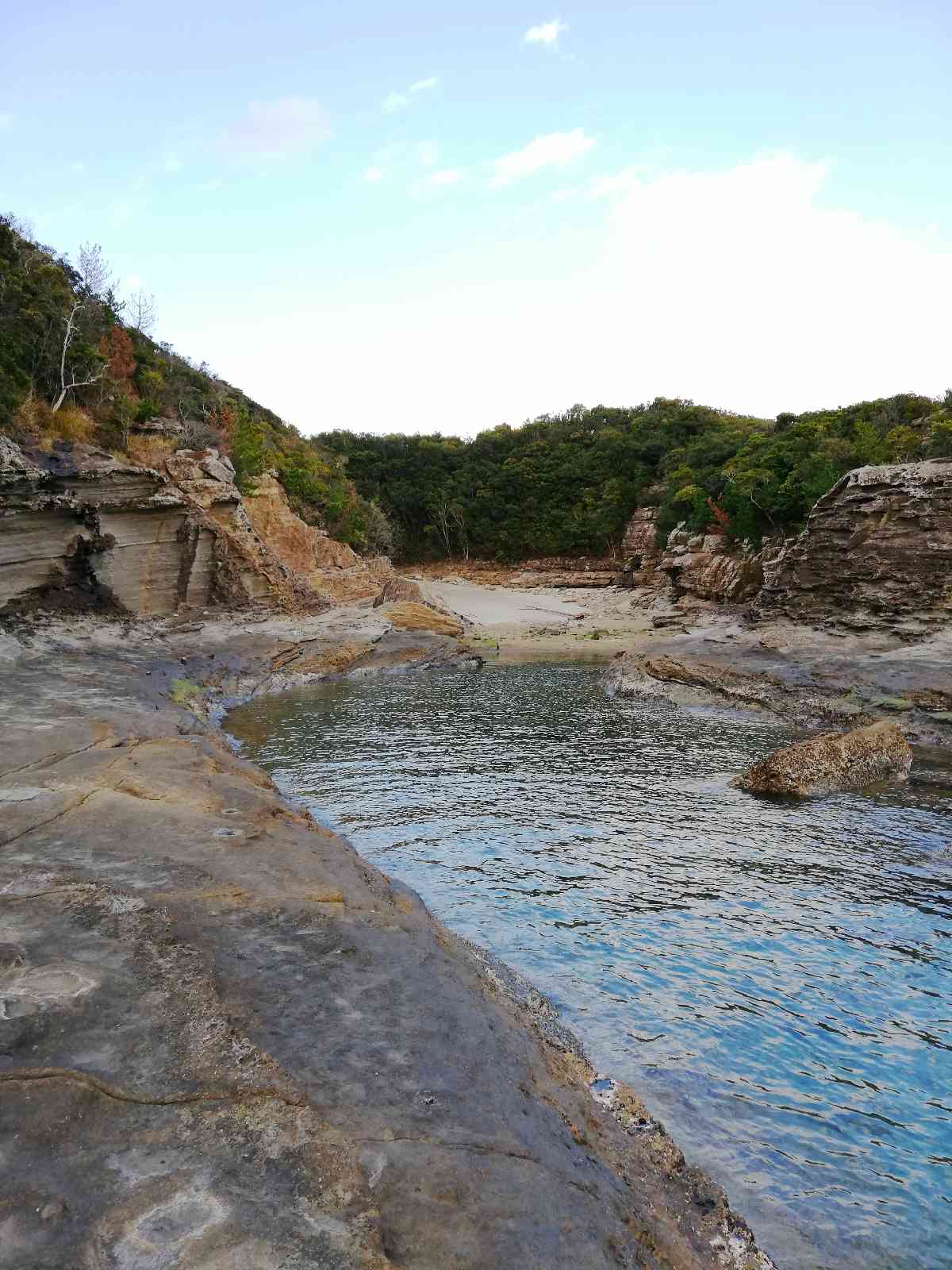 投稿された画像
