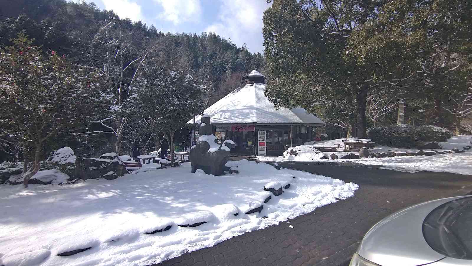 投稿された画像