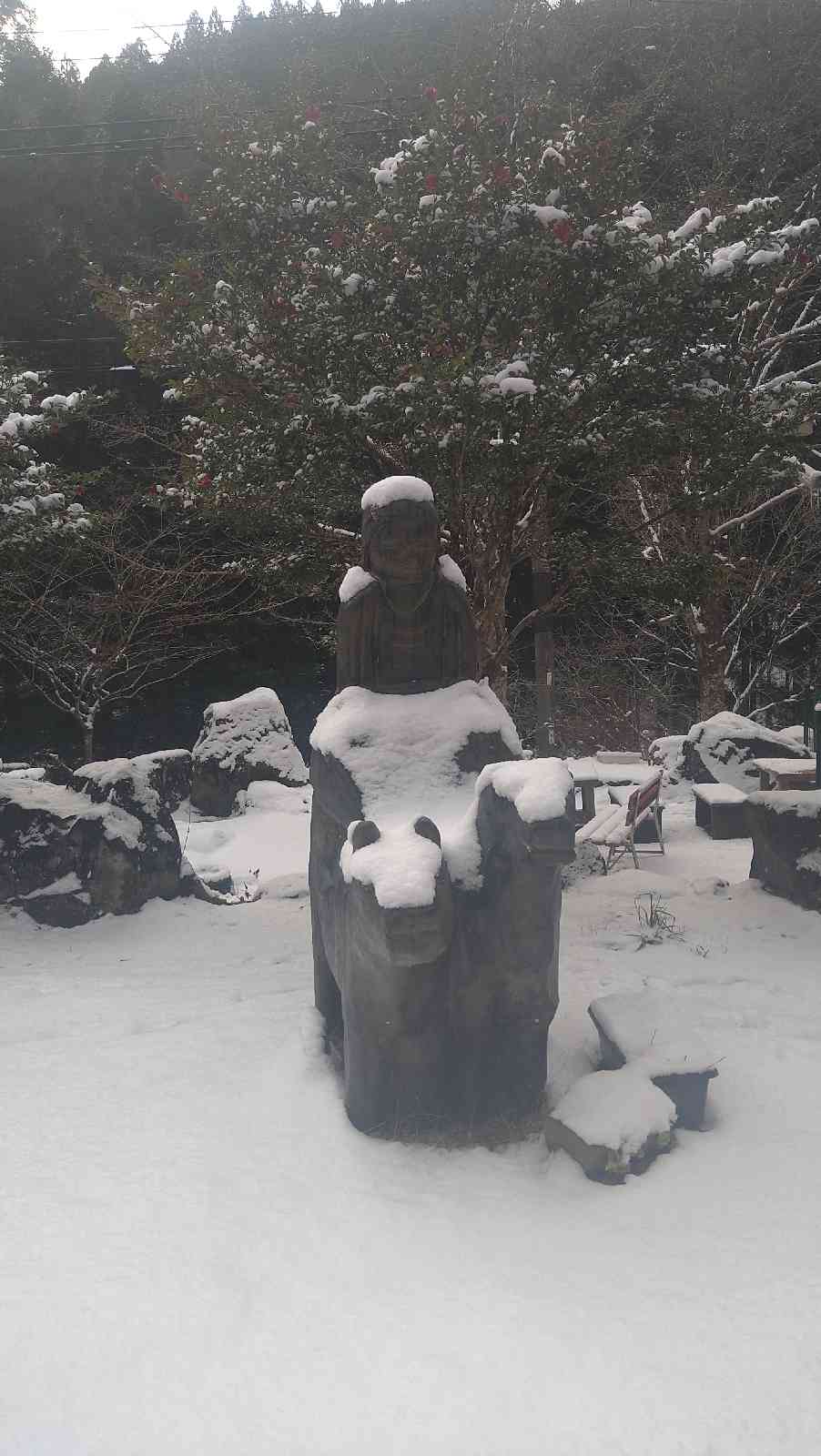 投稿された画像