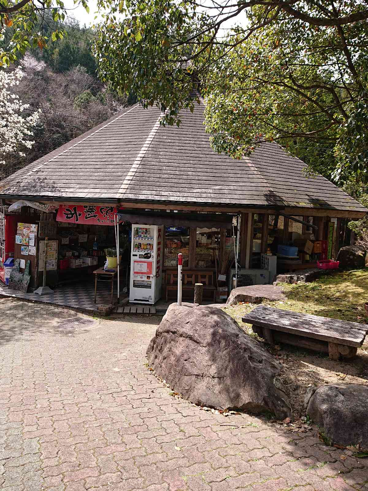 投稿された画像