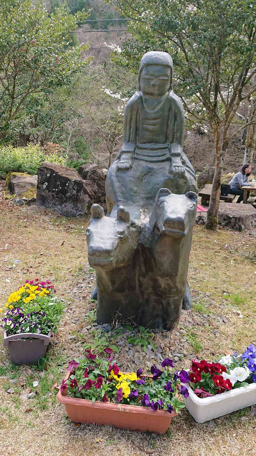 投稿された画像