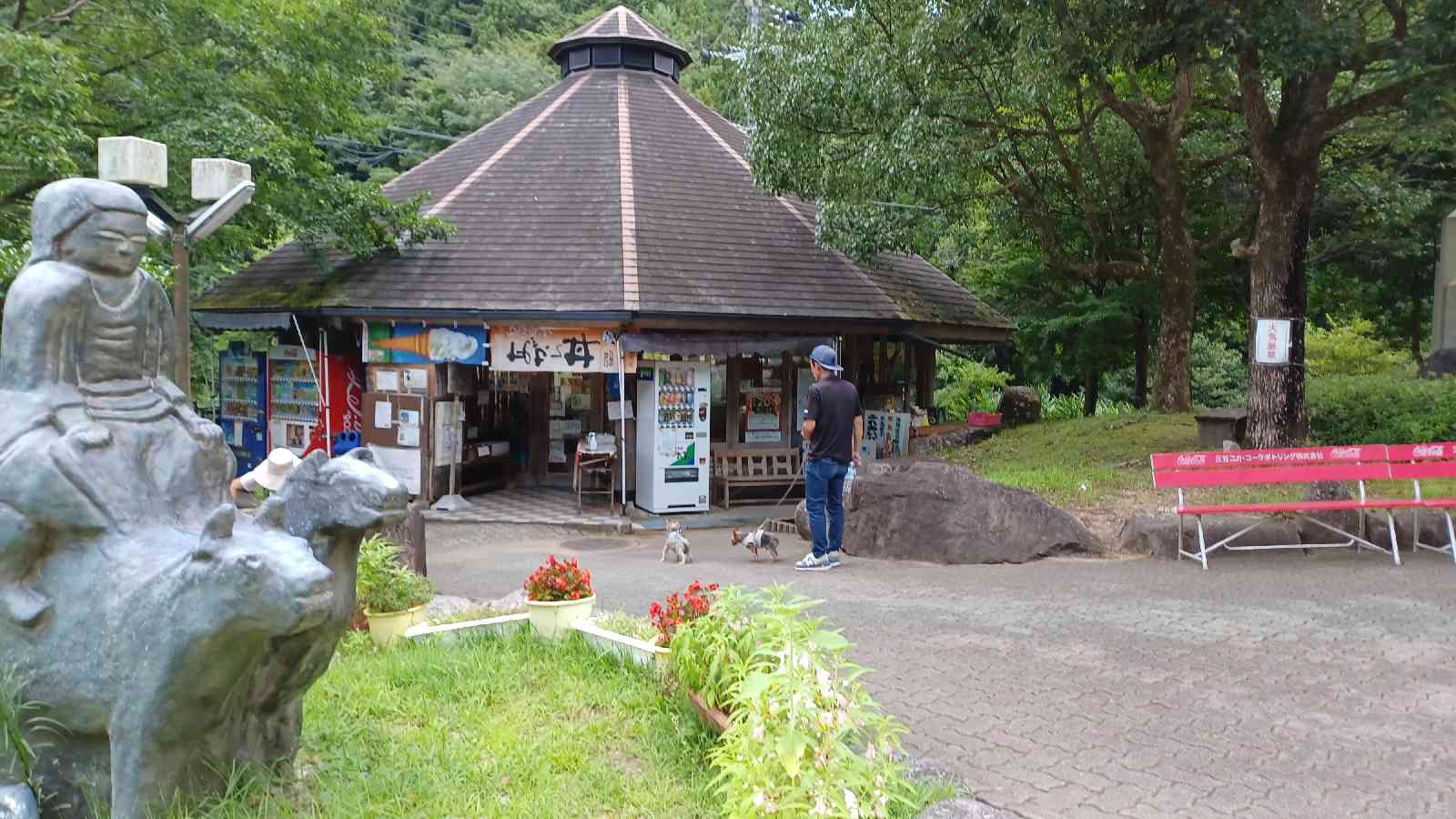 投稿された画像