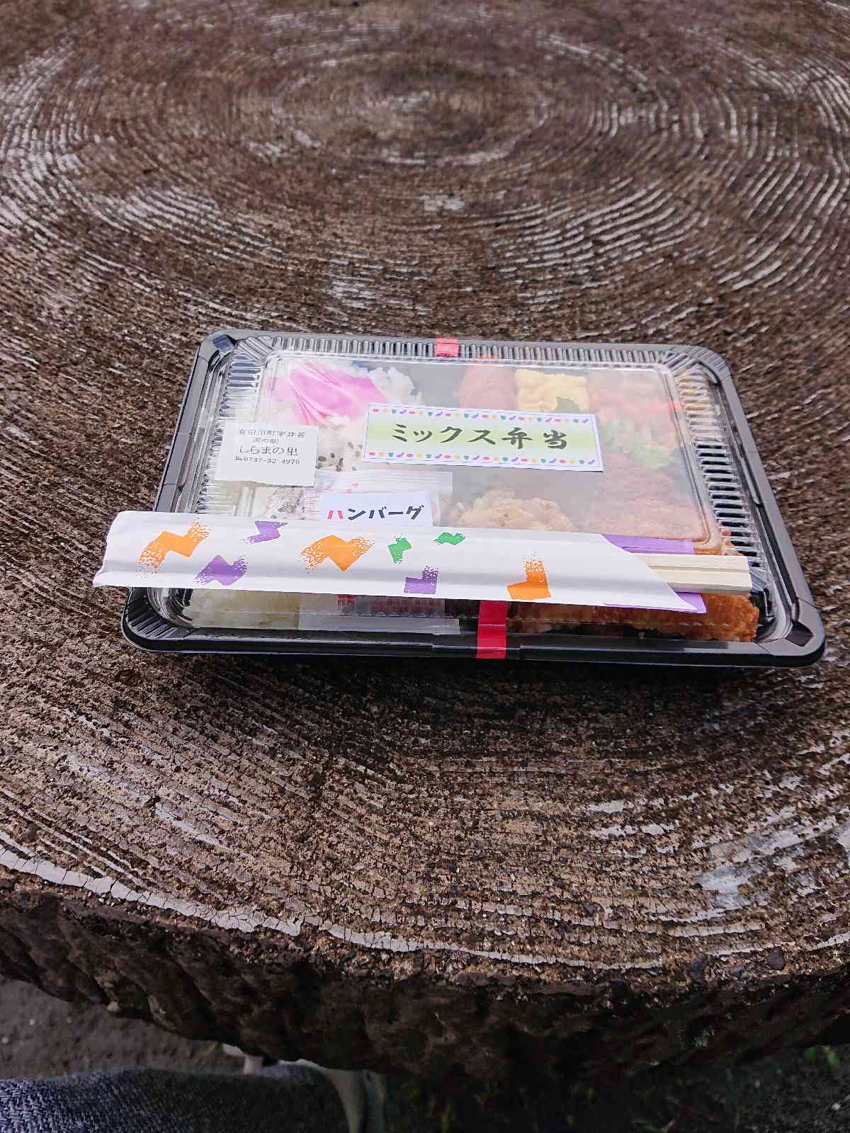 投稿された画像
