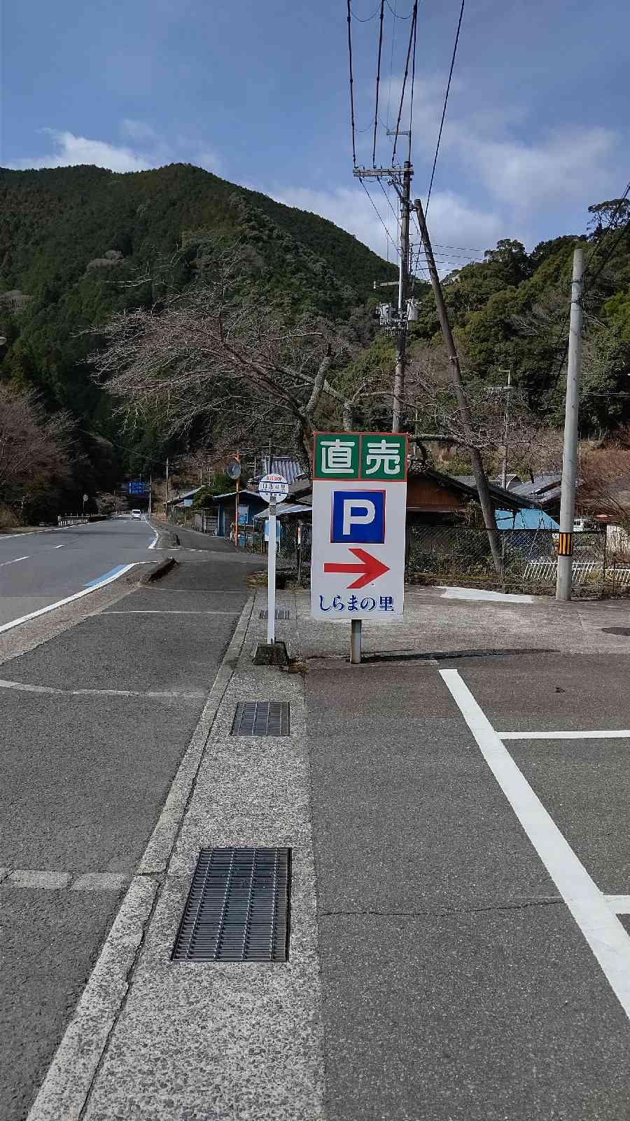 投稿された画像