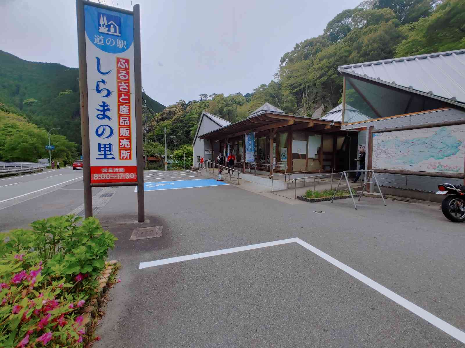 投稿された画像