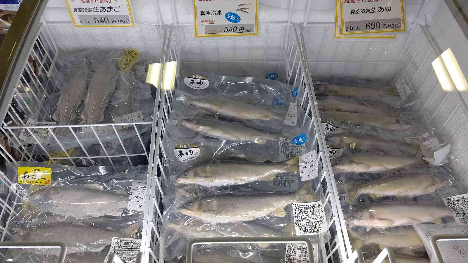 投稿された画像