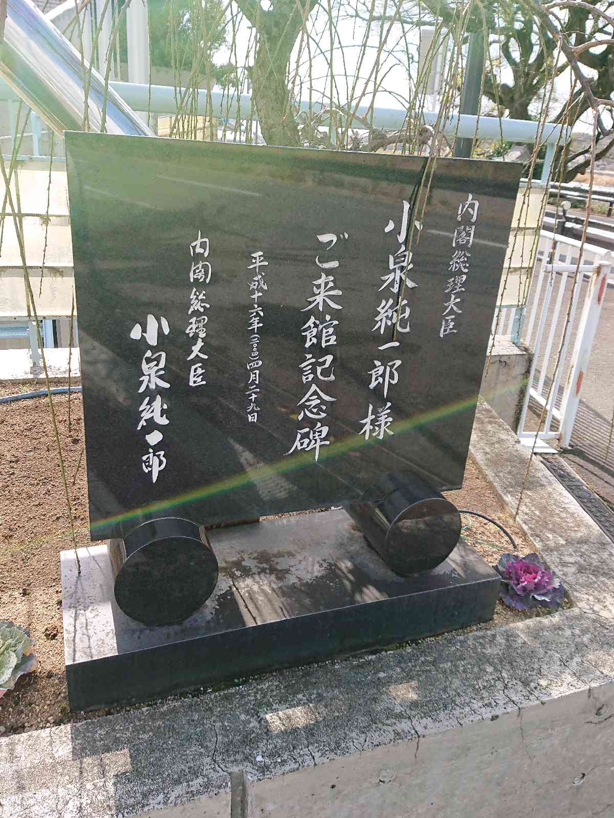 投稿された画像