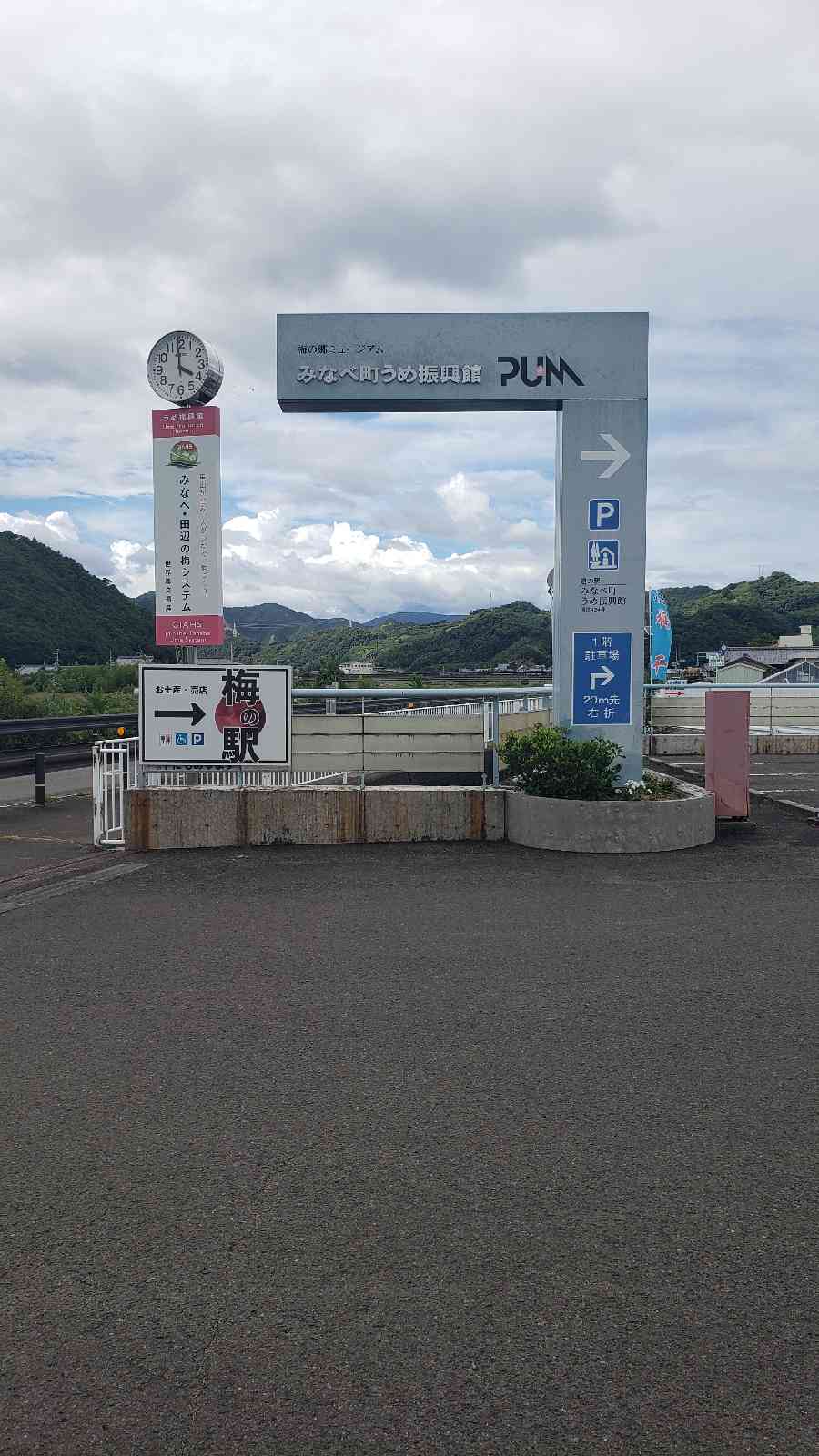 投稿された画像