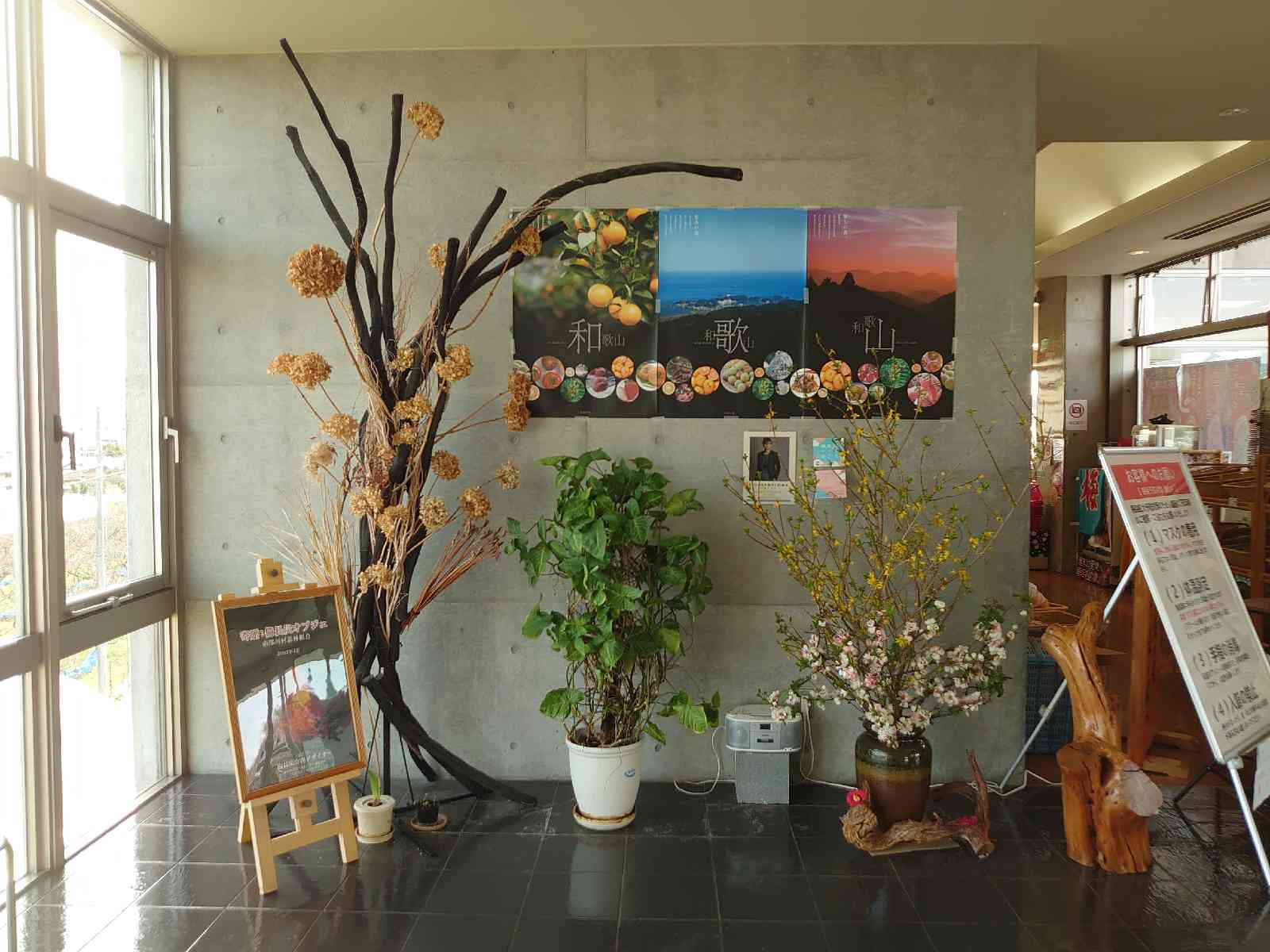 投稿された画像