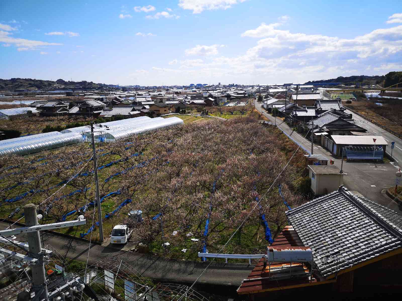 投稿された画像