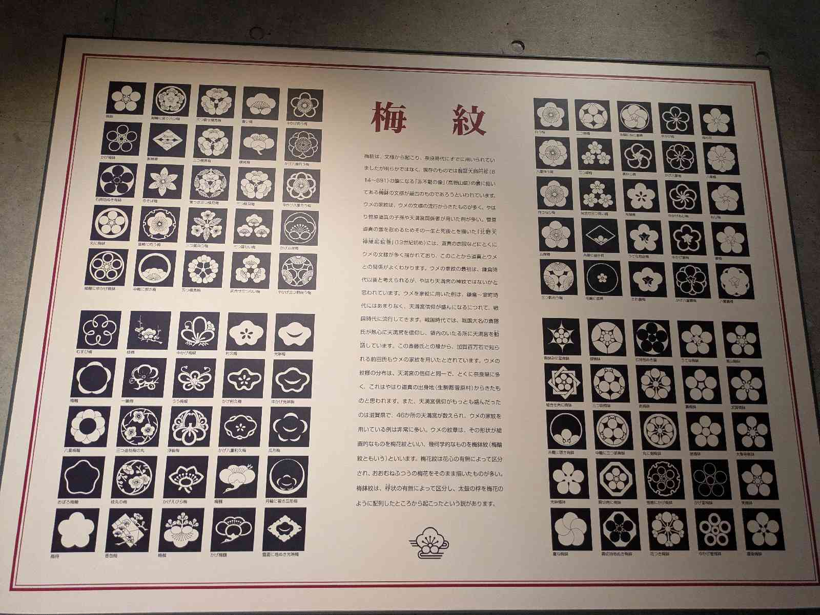 道の駅 みなべうめ振興館の写真