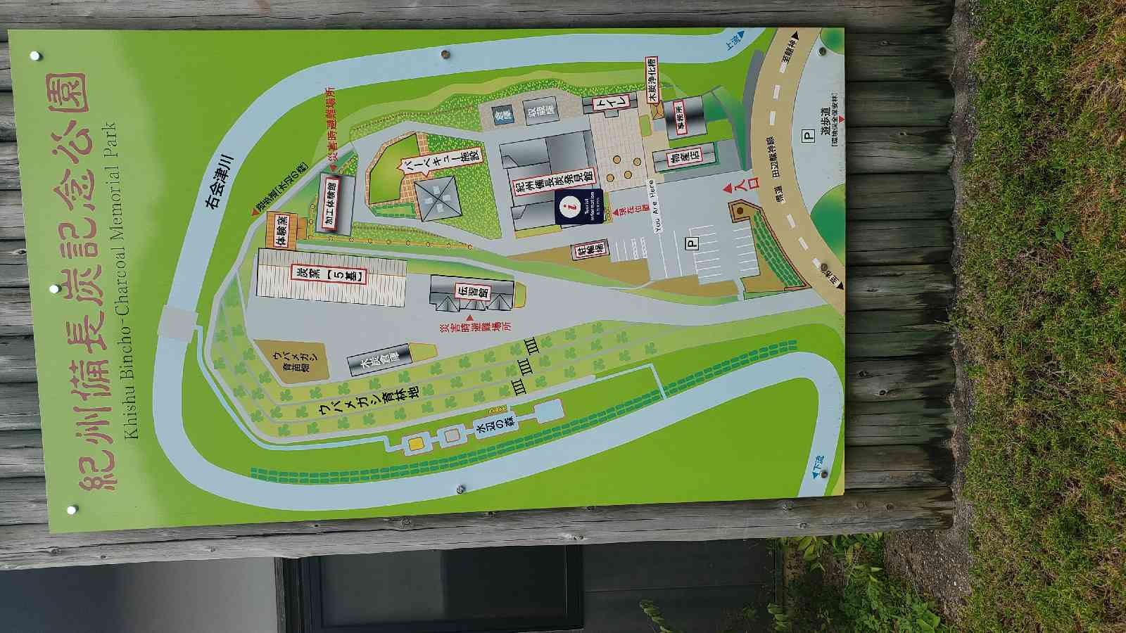 投稿された画像