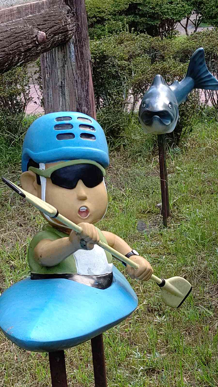 投稿された画像