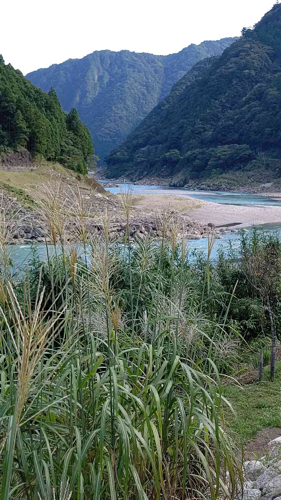 投稿された画像