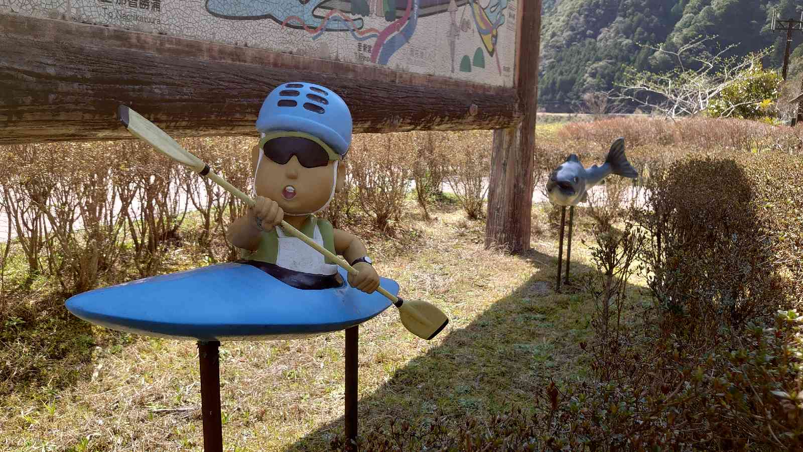 投稿された画像