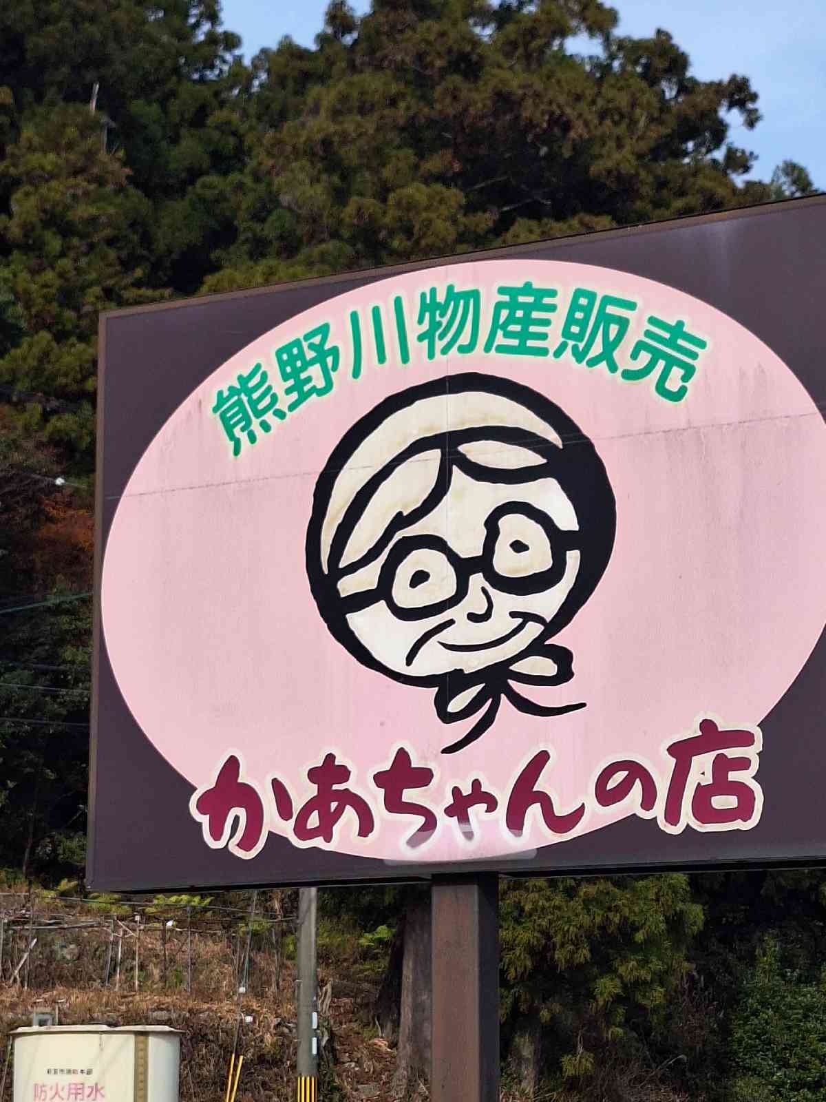 道の駅 瀞峡街道熊野川の写真