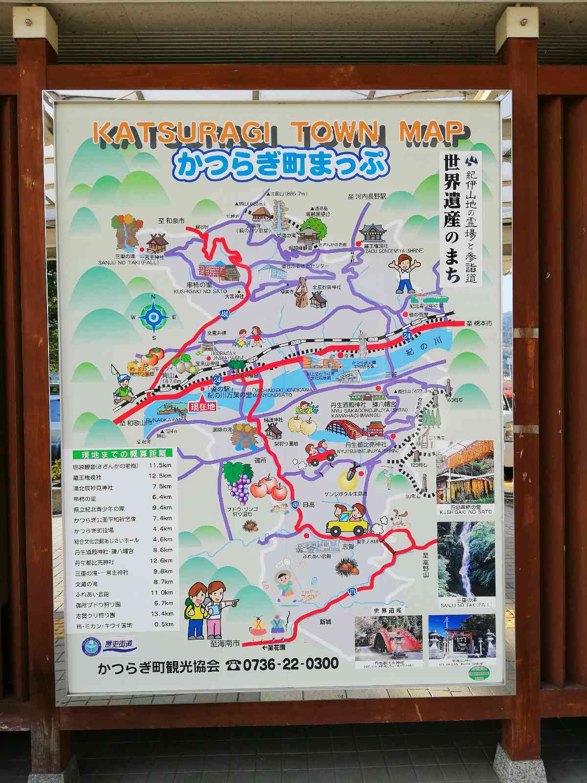 投稿された画像