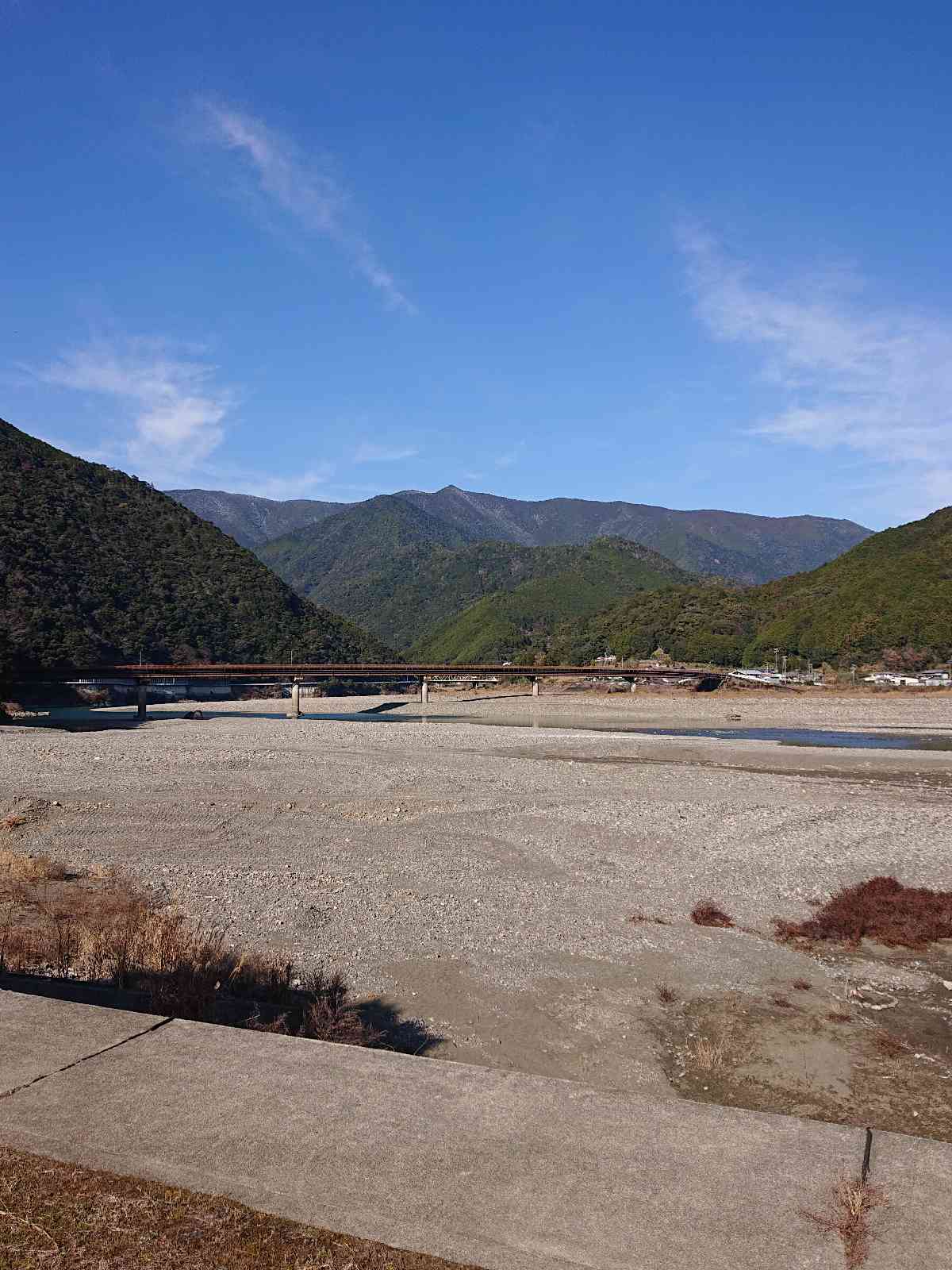 投稿された画像