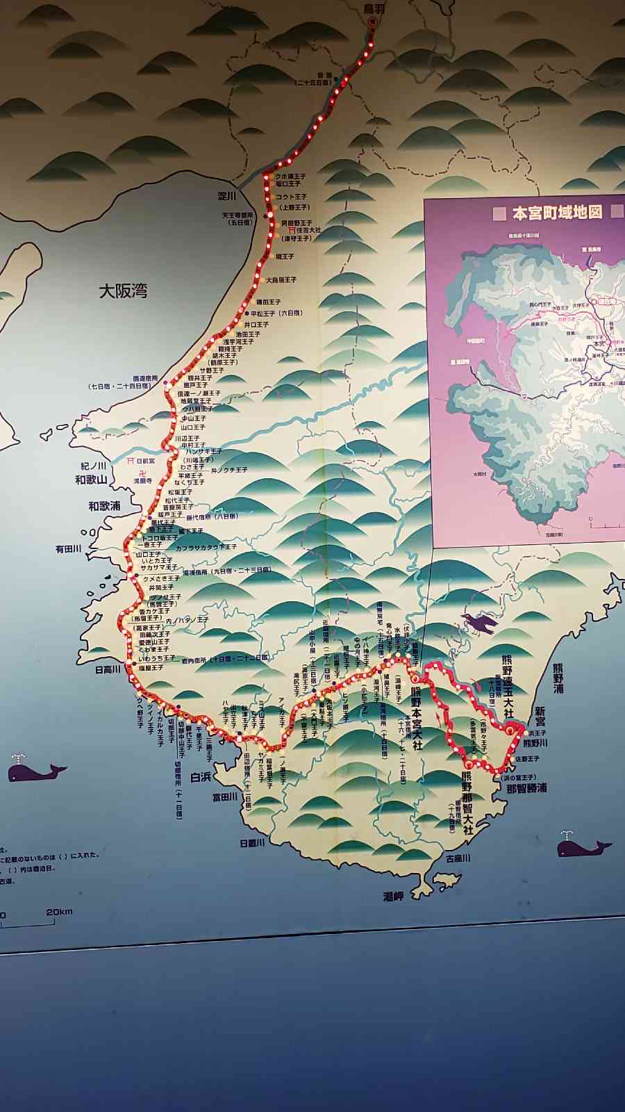 投稿された画像