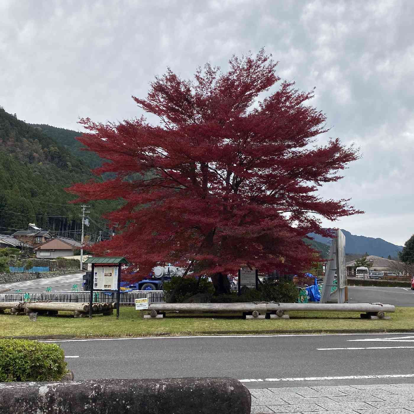 投稿された画像