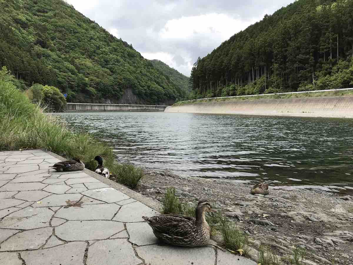 投稿された画像