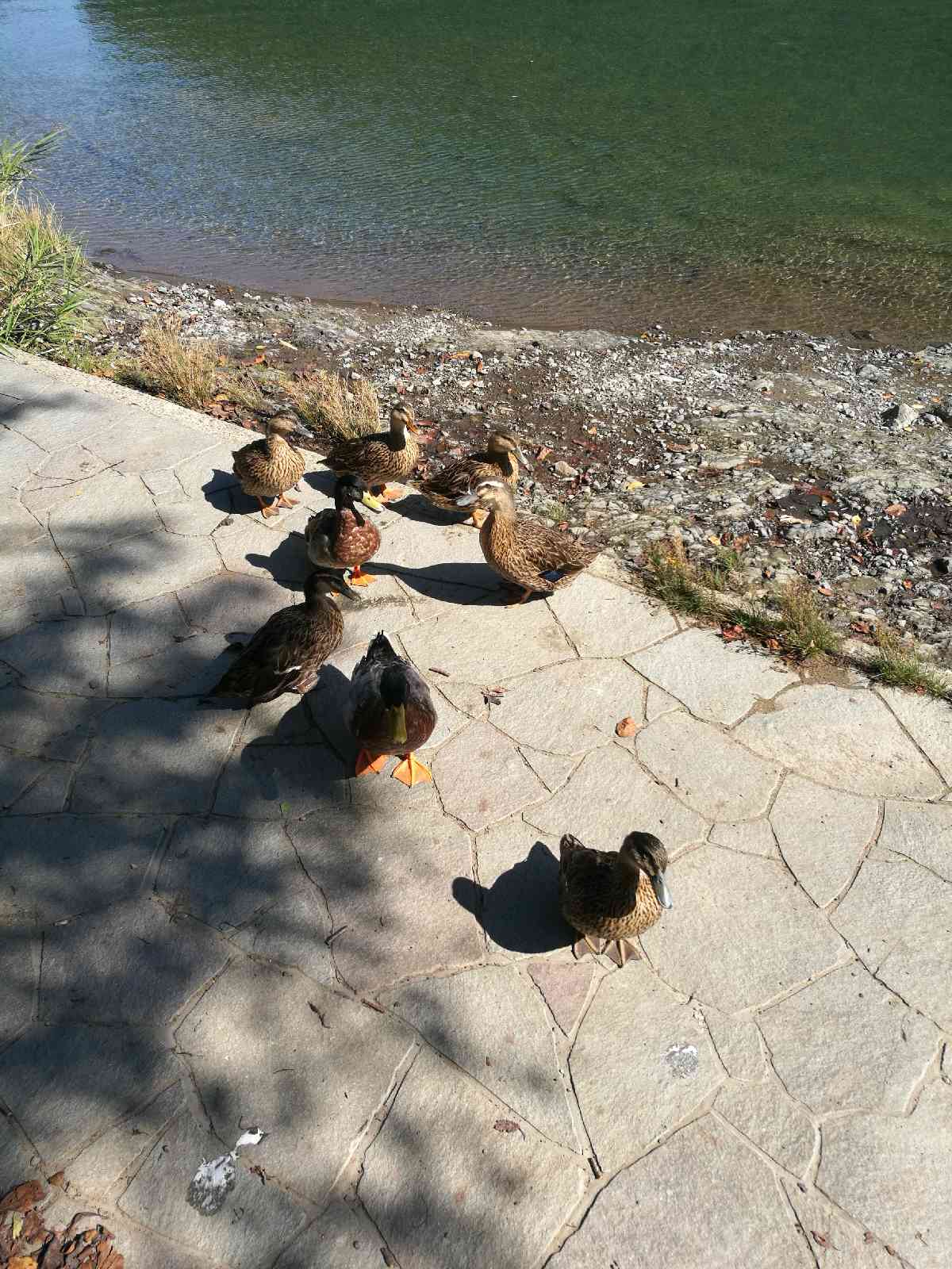 投稿された画像