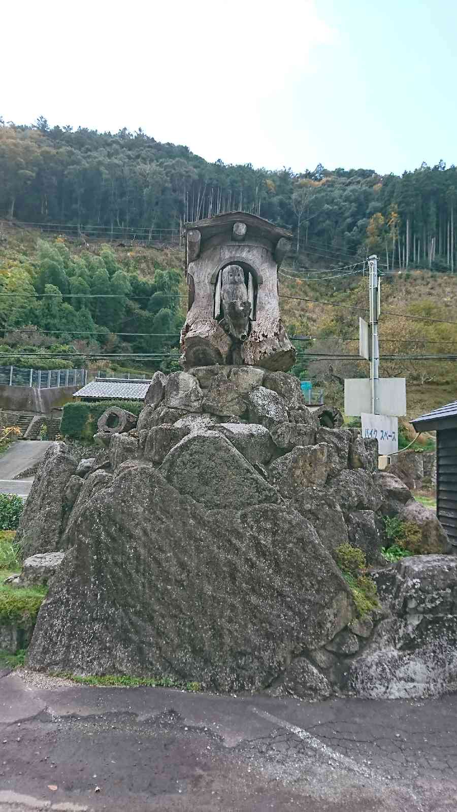 投稿された画像