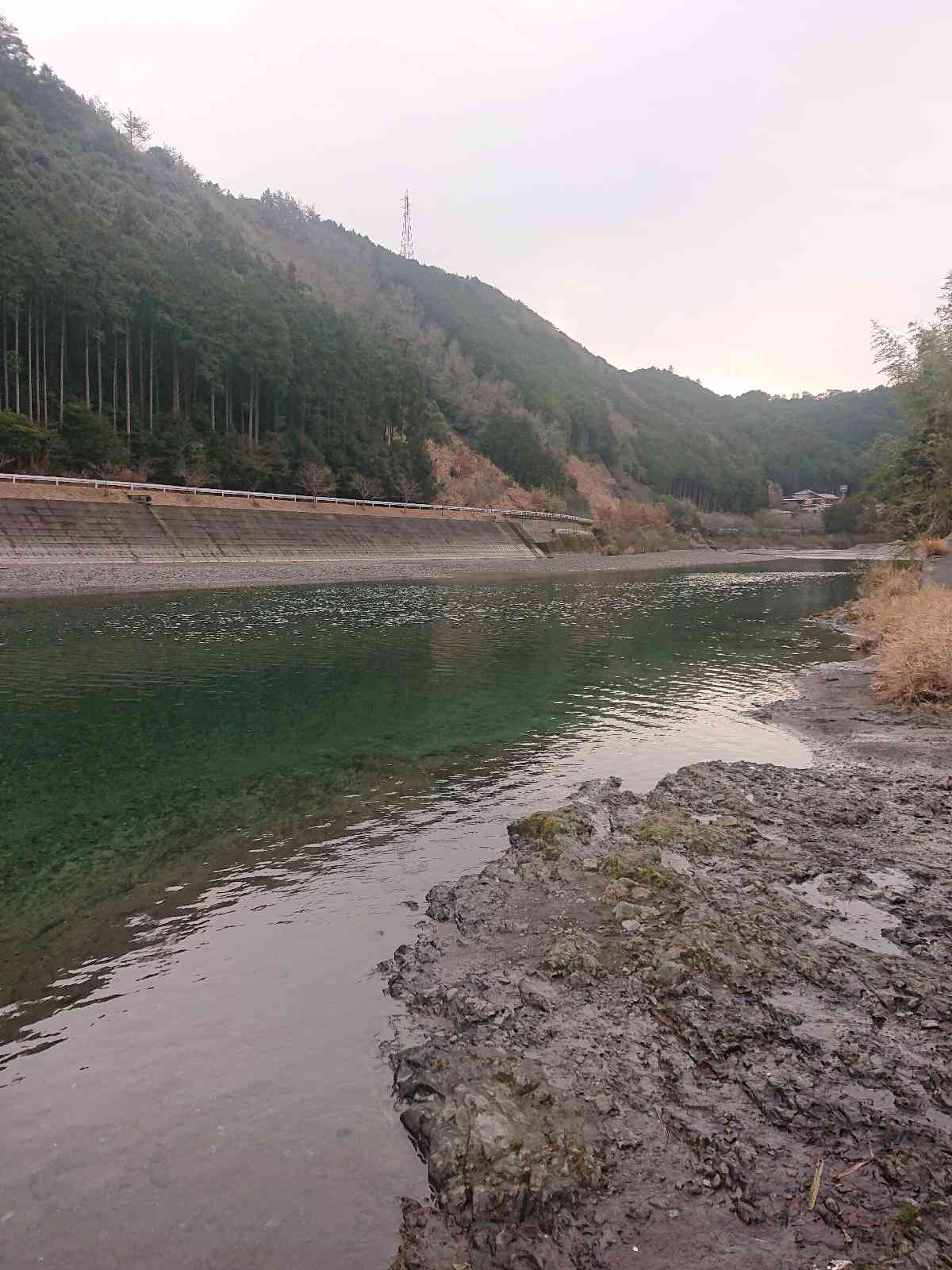 投稿された画像