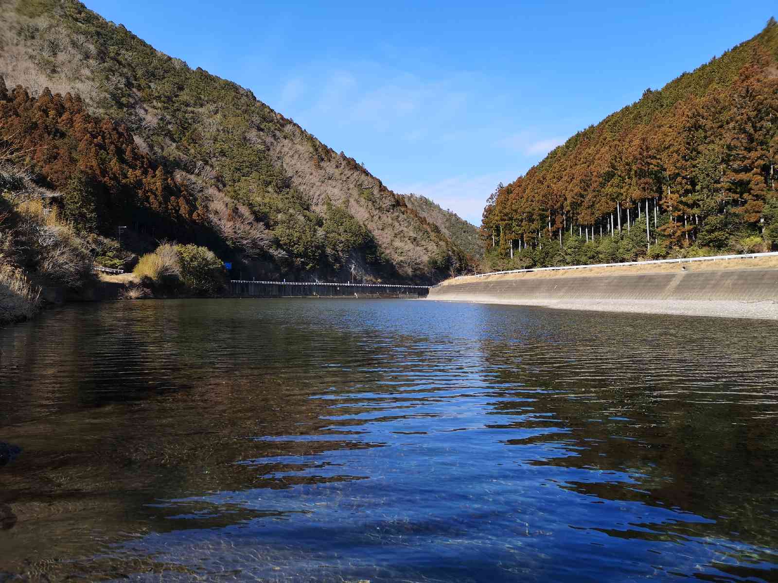 投稿された画像