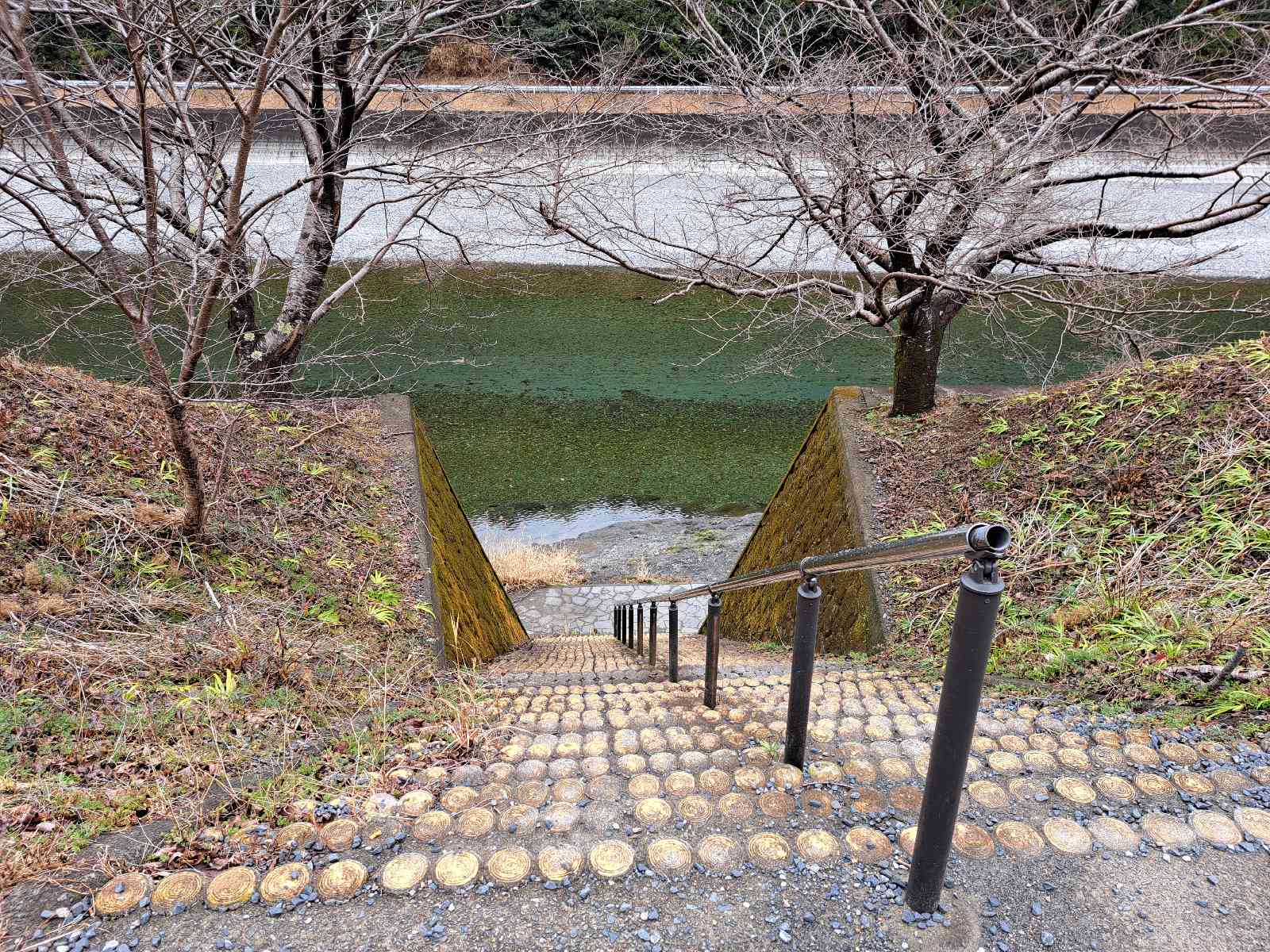 道の駅 水の郷日高川　龍游の写真