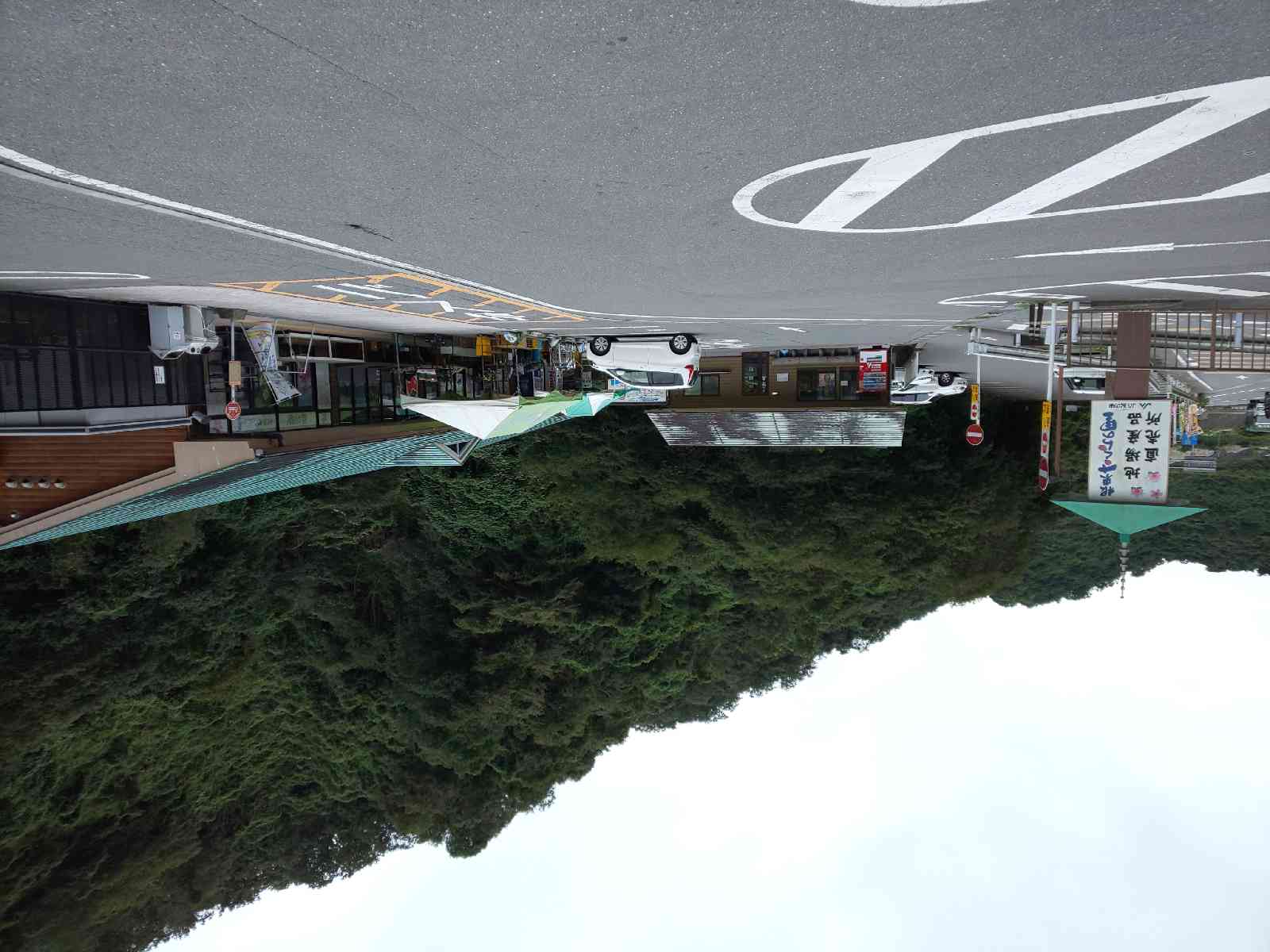 投稿された画像