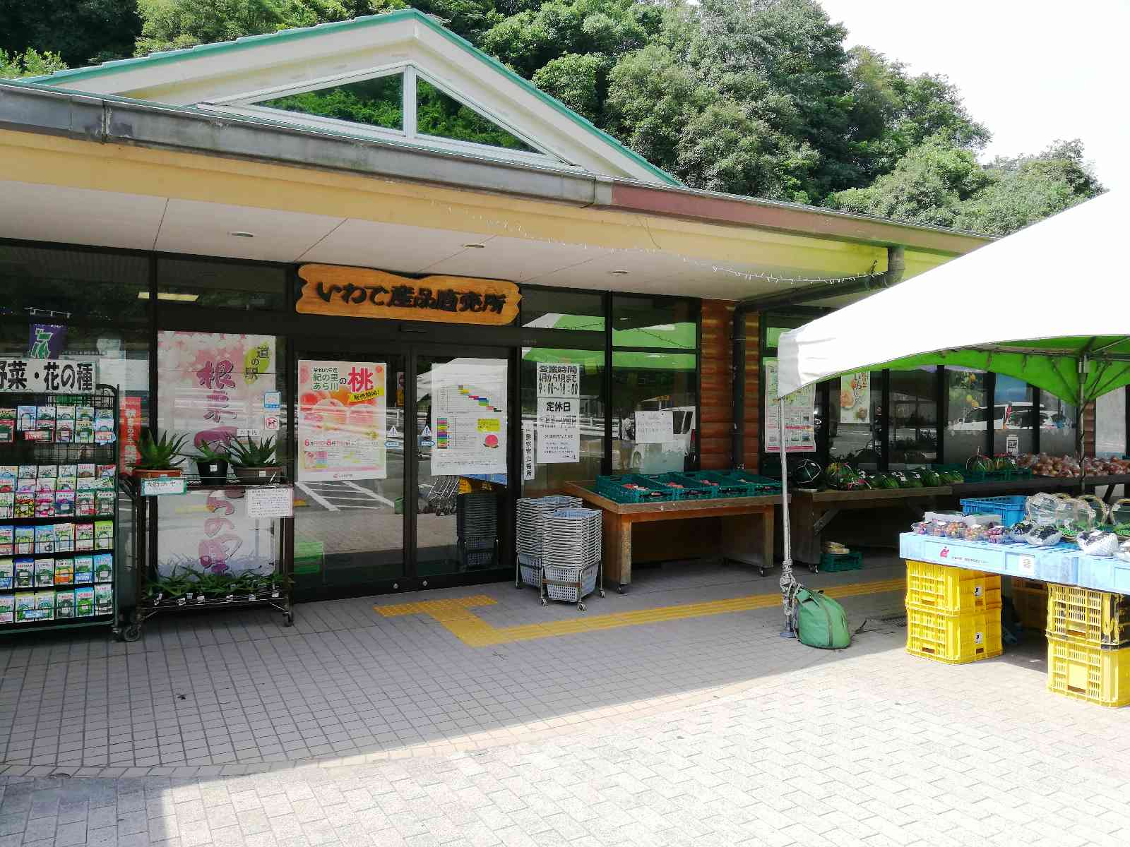 投稿された画像
