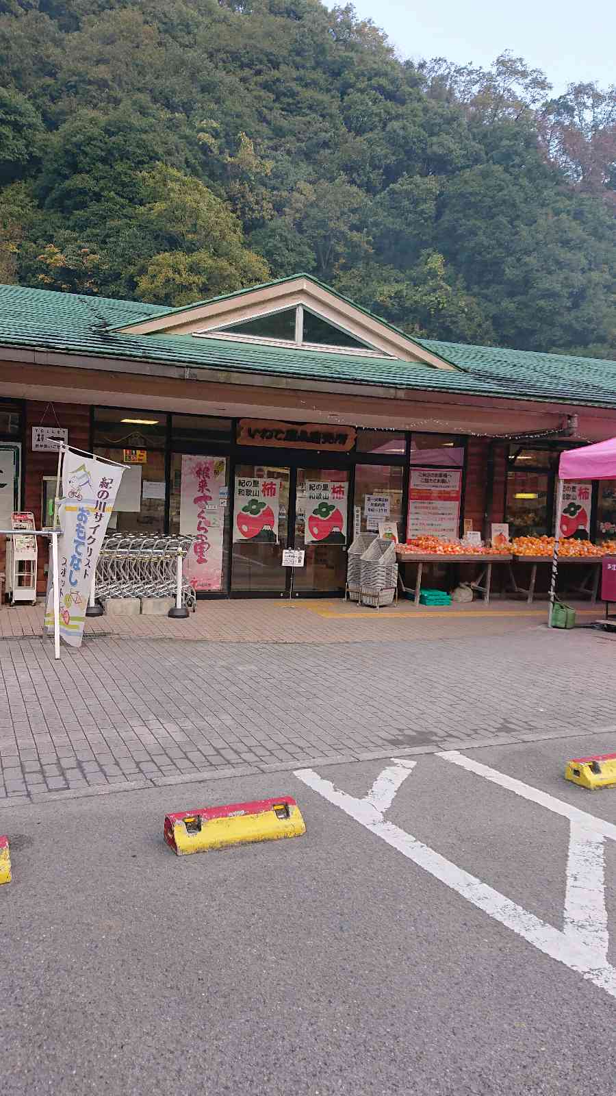 投稿された画像