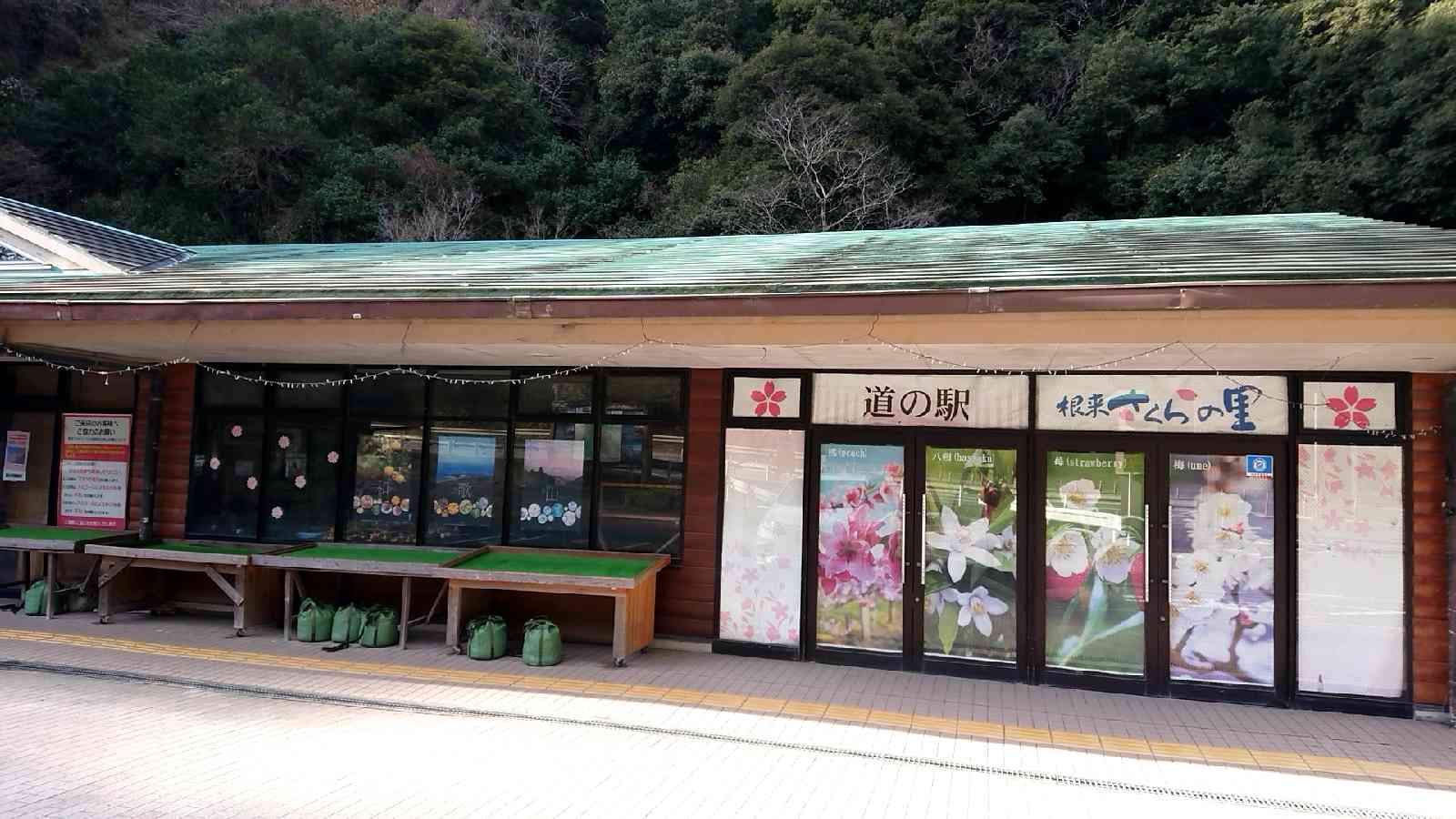 投稿された画像