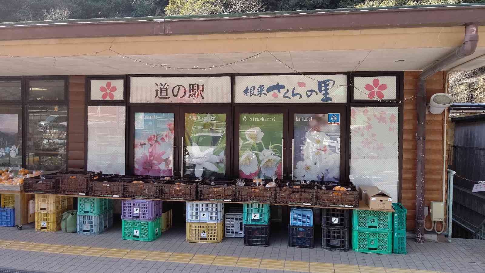 投稿された画像
