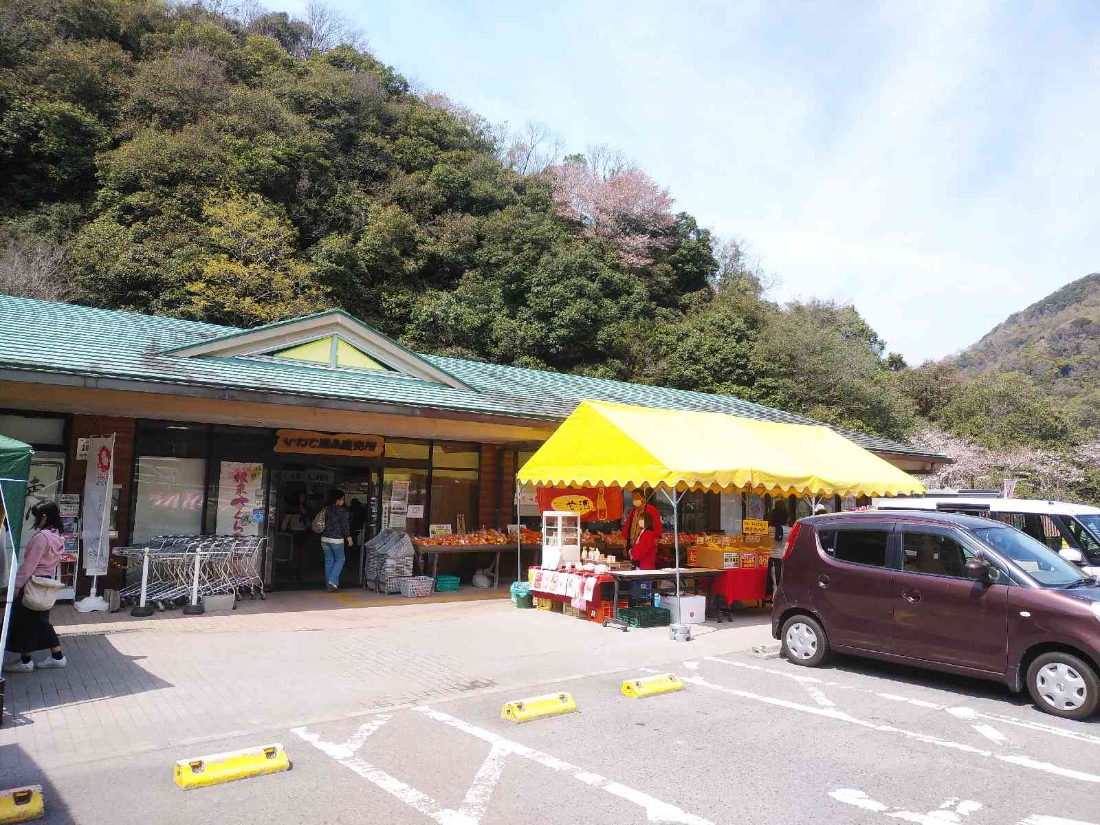投稿された画像